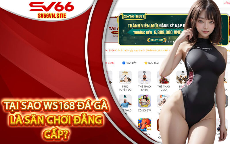 Tại Sao WS168 Đá Gà Là Sân Chơi Đẳng Cấp?