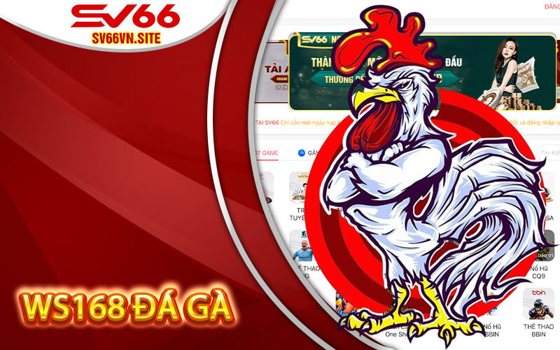 WS168 Đá Gà